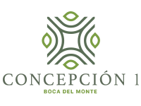Imagen de Concepcion 1, S.A.